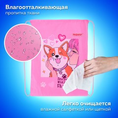 Мешок для обуви ПИФАГОР, 1 отделение, 42х34 см, "Fluffy akita", 272385 Мешок для обуви ПИФАГОР, 1 отделение, 42х34 см, "Fluffy akita", 272385 - фото 8