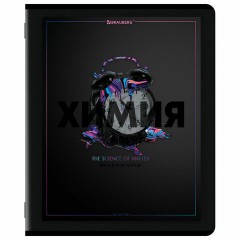 Тетради предметные, КОМПЛЕКТ 12 ПРЕДМЕТОВ, 48 л., матовая ламинация, лак, BRAUBERG "MAJESTIC BLACK", 405177 - фото 15