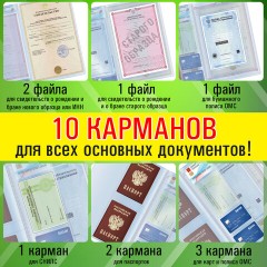 Папка-органайзер, обложка семейная для 1-го комплекта документов, А4, ПВХ, матовая, STAFF, 238337 Папка-органайзер, обложка семейная для 1-го комплекта документов, А4, ПВХ, матовая, STAFF, 238337 - фото 8