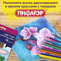 Карандаши цветные ПИФАГОР "СКАЗОЧНЫЙ ГОРОД", 18 цветов, шестигранные, 181584 - фото 13