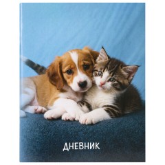 Дневник 1-11 класс 40 л., на скобе, ПИФАГОР, обложка картон, МИКС "Универсальный", 107578 - фото 5