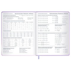 Дневник 1-11 класс 48 л., обложка кожзам (твердая с поролон), 3D-элемент, BRAUBERG, "Суровый кот", 107221 - фото 15