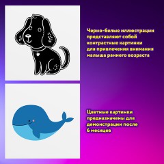 Карточки для новорожденных 6 книжек-гармошек ДЛЯ РАЗВИТИЯ ЗРЕНИЯ С ПЕЛЕНОК, ЮНЛАНДИЯ, 691023 - фото 9