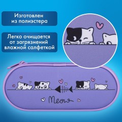 Пенал-футляр BRAUBERG, 1 отделение, органайзер, полиэстер, 22x9х5 см, "Meow", 272312 Пенал-футляр BRAUBERG, 1 отделение, органайзер, полиэстер, 22x9х5 см, "Meow", 272312 - фото 7