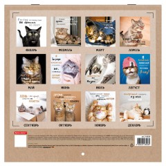 Календарь настенный перекидной 2026 г., BRAUBERG, 12 листов, 28,5х28,5 см, "Милые котики", 116929 - фото 17