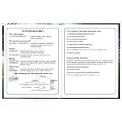 Дневник 1-4 класс 48 л., твердый, ЮНЛАНДИЯ, глянцевая ламинация, с подсказом, "Футбол", 107583 - фото 16