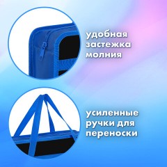 Папка на молнии с ручками BRAUBERG А4, 1 отделение, пластик, 80 мм, "Wild face", 272166 Папка на молнии с ручками BRAUBERG А4, 1 отделение, пластик, 80 мм, "Wild face", 272166 - фото 9