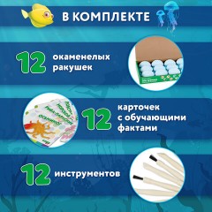 Набор для раскопок "Морские животные", 12 видов, карточки, инструменты, BRAUBERG KIDS, 665126 Набор для раскопок "Морские животные", 12 видов, карточки, инструменты, BRAUBERG KIDS, 665126 - фото 13
