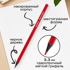Карандаши цветные BRAUBERG, 24 цвета, шестигранные, грифель 3,3 мм, черное дерево, 181858 - фото 9