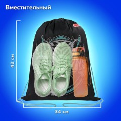 Мешок для обуви ПИФАГОР, 1 отделение, 42х34 см, "White tiger", 272389 Мешок для обуви ПИФАГОР, 1 отделение, 42х34 см, "White tiger", 272389 - фото 10