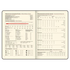 Ежедневник датированный 2026, БОЛЬШОЙ ФОРМАТ 210х297 мм, А4, BRAUBERG "Comodo", под кожу, синий, 117243 - фото 9