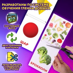 Карточки Домана, 8 развивающих брошюр по методике ГЛЕНА ДОМАНА, 145 изображений, ЮНЛАНДИЯ, 691022 Карточки Домана, 8 развивающих брошюр по методике ГЛЕНА ДОМАНА, 145 изображений, ЮНЛАНДИЯ, 691022 - фото 15