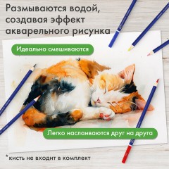 Карандаши художественные цветные акварельные BRAUBERG ART CLASSIC, 48 цветов, грифель 3,3 мм, 181532 - фото 8