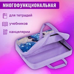 Папка на молнии с ручками BRAUBERG А4, 1 отделение, полиэстер, 80 мм, "Night catcher", 273301 Папка на молнии с ручками BRAUBERG А4, 1 отделение, полиэстер, 80 мм, "Night catcher", 273301 - фото 13