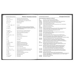 Дневник 5-11 класс 48 л., твердый, FUNSTER (ФАНСТЕР), выборочный лак, с подсказом, "Гусыня-балерина", 107615 - фото 13