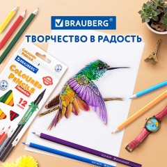 Карандаши цветные BRAUBERG PREMIUM 12 цветов + 1 чернографитный карандаш, трехгранные, грифель 3 мм, 181936 Карандаши цветные BRAUBERG PREMIUM 12 цветов + 1 чернографитный карандаш, трехгранные, грифель 3 мм, 181936 - фото 13
