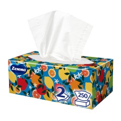 Салфетки косметические 2-слойные в картонном коробе, 250 штук, ZEMMA/ZEWA Everyday, 86791 - фото 19