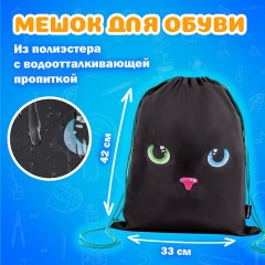 Папка на молнии с ручками А4, мешок для обуви 42х33 см, пенал 20х10 см, "Black cat" НАБОР BRAUBERG, 271434 Папка на молнии с ручками А4, мешок для обуви 42х33 см, пенал 20х10 см, "Black cat" НАБОР BRAUBERG, 271434 - фото 10