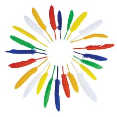 Перья декоративные прямые, 10-15 см, 24 шт., 6 цветов, яркие, ассорти, ОСТРОВ СОКРОВИЩ, 661380 Перья декоративные прямые, 10-15 см, 24 шт., 6 цветов, яркие, ассорти, ОСТРОВ СОКРОВИЩ, 661380 - фото 6