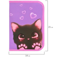Пенал BRAUBERG, 1 отделение, 2 откидные планки, полиэстер, 21х14 см, "Paw prints", 273526 Пенал BRAUBERG, 1 отделение, 2 откидные планки, полиэстер, 21х14 см, "Paw prints", 273526 - фото 7