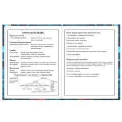 Дневник 1-4 класс 48 л., твердый, BRAUBERG, выборочный лак, с подсказом, "Крутой байк", 107592 - фото 16