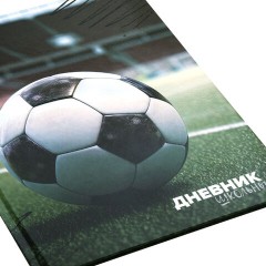Дневник 1-4 класс 48 л., твердый, ЮНЛАНДИЯ, глянцевая ламинация, с подсказом, "Футбол", 107583 - фото 4