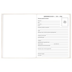 Дневник 5-11 класс 48 л., твердый, BRAUBERG, выборочный лак, с подсказом, "Кот-Непоседа", 107616 - фото 5