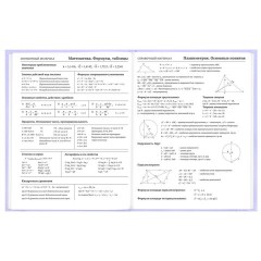 Дневник 5-11 класс 48 л., твердый, BRAUBERG, матовая ламинация, с подсказом, "Классика", 107610 - фото 10