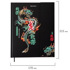 Дневник 1-11 класс 48 л., твердый, BRAUBERG, матовая ламинация, магнитный клапан, закладка-ляссе, с подсказом, "Дракон", 107245 - фото 2