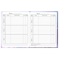 Дневник 1-4 класс 48 л., твердый, BRAUBERG, глянцевая ламинация, с подсказом, "Princess", 107590 - фото 9