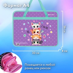 Папка на молнии с ручками BRAUBERG А4, 1 отделение, пластик, 80 мм, "Забавные котята", 273368 - фото 10