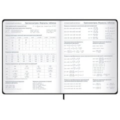 Дневник 1-11 класс 48 л., твердый, BRAUBERG, матовая ламинация, резинка, закладка-ляссе, с подсказом, "Элементы", 107242 - фото 16