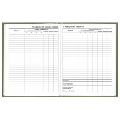 Дневник 1-11 класс 40 л., твердый, BRAUBERG, глянцевая ламинация, "Однотонный", 107607 - фото 9