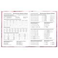 Дневник 5-11 класс 48 л., твердый, BRAUBERG, матовая ламинация, с подсказом, "Пушистые Сердечки", 107611 - фото 11