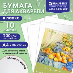 Папка для акварели А4, 210х297 мм, 10 листов, 200 г/м2, BRAUBERG АКАДЕМИЯ (ДЭК), "Апельсины", 117743 - фото 8