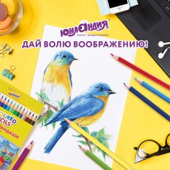 Карандаши цветные ЮНЛАНДИЯ "ДОМИКИ", 36 цветов, шестигранные, грифель 3 мм, 181839 Карандаши цветные ЮНЛАНДИЯ "ДОМИКИ", 36 цветов, шестигранные, грифель 3 мм, 181839 - фото 12