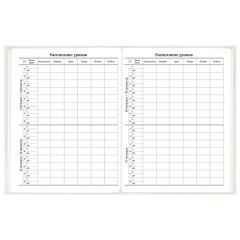 Дневник 5-11 класс 48 л., твердый, BRAUBERG, выборочный лак, с подсказом, "Кот-Непоседа", 107616 - фото 7