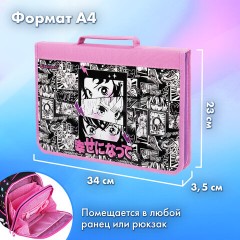Папка на молнии BRAUBERG А4 с ручкой, с органайзером, 1 отделение, "Anime movie", 272216 Папка на молнии BRAUBERG А4 с ручкой, с органайзером, 1 отделение, "Anime movie", 272216 - фото 11