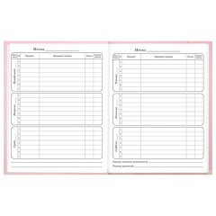 Дневник 1-4 класс 48 л., твердый, BRAUBERG, выборочный лак, с подсказом, "Миленький котёнок", 107594 - фото 9