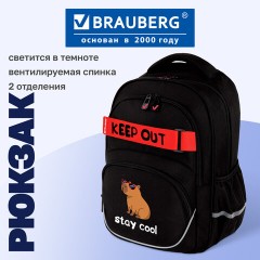 Рюкзак BRAUBERG MOTION, 2 отделения, 3 кармана, "Капибара", СВЕТЯЩИЙСЯ, 41х28х17 см, 272032 - фото 8