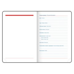 Ежедневник датированный 2026 А5 148х218 мм, GALANT "Ritter", под кожу, бордовый, 117493 - фото 5