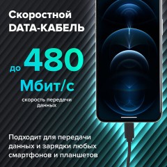 Кабель USB2.0 – Lightning, 1 м, SONNEN, медь, для передачи данных и зарядки, черный, 513116 Кабель USB2.0 – Lightning, 1 м, SONNEN, медь, для передачи данных и зарядки, черный, 513116 - фото 11