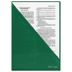 Папка-уголок жесткая, непрозрачная (тонированная), А4, BRAUBERG UNIVERSAL, зеленая, 0,18 мм, 273057 - фото 5