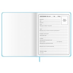 Дневник 1-4 класс 48 л., кожзам (твердая с поролоном), печать, аппликация, ЮНЛАНДИЯ, "Зайчик", 106198 - фото 6