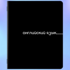Тетради предметные, КОМПЛЕКТ 12 ПРЕДМЕТОВ, 48 л., обложка картон, BRAUBERG "BLACK", 405164 - фото 7