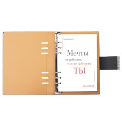 Ежедневник на кольцах в наборе с ручкой А5, 165x229 мм, BRAUBERG "Lux", под кожу, 100 листов, черный, 116856 - фото 4