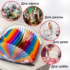Папка-органайзер для бумаг и документов на резинке, 25 отделений, BRAUBERG DOCS, А4, черная, 271151 Папка-органайзер для бумаг и документов на резинке, 25 отделений, BRAUBERG DOCS, А4, черная, 271151 - фото 14