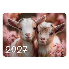 Календарь карманный на 2027 г, BRAUBERG, 64х93 мм, АССОРТИ, 20 дизайнов (60 штук), 118489 - фото 9