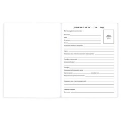 Дневник 1-11 класс 40 л., на скобе, ПИФАГОР, обложка картон, МИКС "Универсальный", 107578 - фото 7