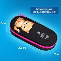 Пенал-футляр BRAUBERG, 1 отделение, органайзер, полиэстер, 22x9х5 см, "Angry kitty", 273566 - фото 9